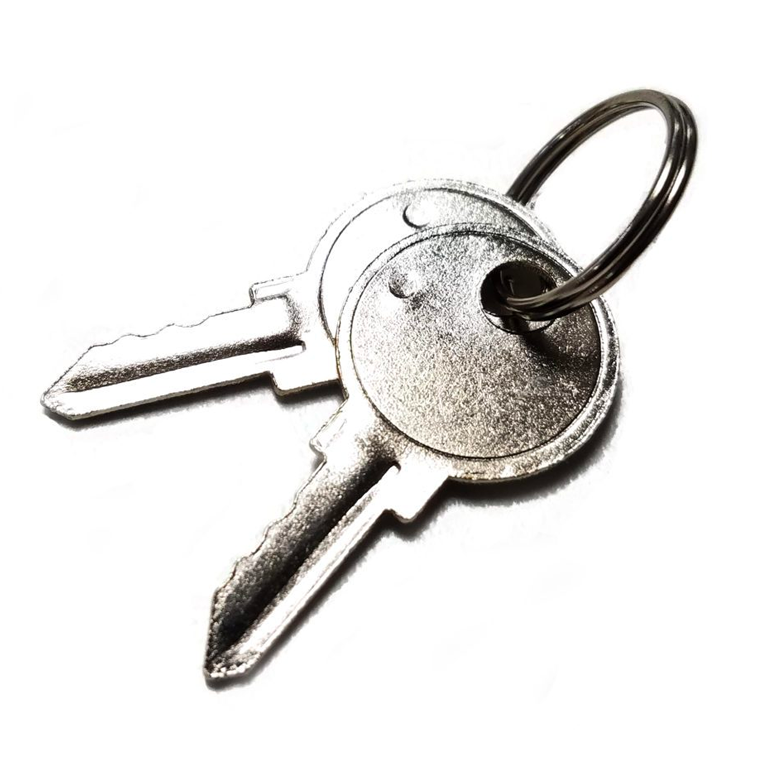 uPunch HNKEYS Keys for HN4000 HN3000 FN1000 Clocks, Set of 2